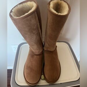 UGG Brown Winter Boots
